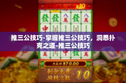 推三公技巧-掌握推三公技巧，洞悉扑克之道-推三公技巧