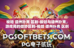 梭哈 德州扑克 区别-梭哈与德州扑克，游戏间的微妙区别-梭哈 德州扑克 区别