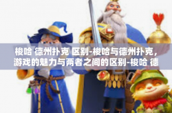 梭哈 德州扑克 区别-梭哈与德州扑克，游戏的魅力与两者之间的区别-梭哈 德州扑克 区别