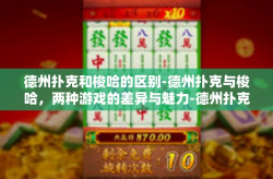 德州扑克和梭哈的区别-德州扑克与梭哈，两种游戏的差异与魅力-德州扑克和梭哈的区别