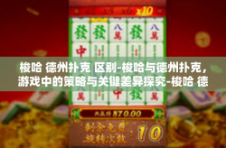 梭哈 德州扑克 区别-梭哈与德州扑克，游戏中的策略与关键差异探究-梭哈 德州扑克 区别