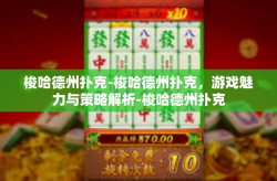 梭哈德州扑克-梭哈德州扑克，游戏魅力与策略解析-梭哈德州扑克