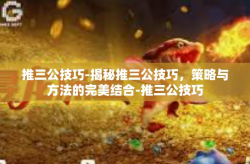 推三公技巧-揭秘推三公技巧，策略与方法的完美结合-推三公技巧