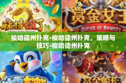 梭哈德州扑克-梭哈德州扑克，策略与技巧-梭哈德州扑克