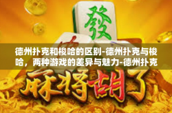 德州扑克和梭哈的区别-德州扑克与梭哈，两种游戏的差异与魅力-德州扑克和梭哈的区别