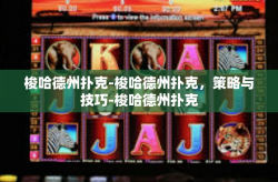 梭哈德州扑克-梭哈德州扑克，策略与技巧-梭哈德州扑克