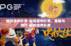 梭哈德州扑克-梭哈德州扑克，策略与技巧-梭哈德州扑克