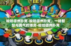 梭哈德州扑克-梭哈德州扑克，一场智慧与勇气的博弈-梭哈德州扑克