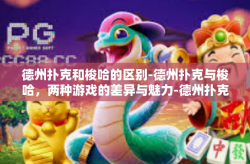 德州扑克和梭哈的区别-德州扑克与梭哈，两种游戏的差异与魅力-德州扑克和梭哈的区别