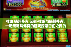梭哈 德州扑克 区别-梭哈与德州扑克，一场策略与博弈的游戏探索它们之间的差异与相同-梭哈 德州扑克 区别