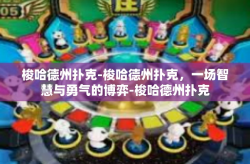 梭哈德州扑克-梭哈德州扑克，一场智慧与勇气的博弈-梭哈德州扑克