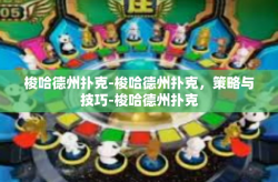 梭哈德州扑克-梭哈德州扑克，策略与技巧-梭哈德州扑克
