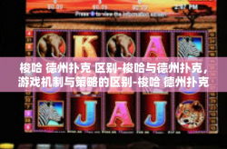 梭哈 德州扑克 区别-梭哈与德州扑克，游戏机制与策略的区别-梭哈 德州扑克 区别