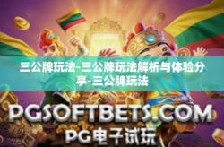 三公牌玩法-三公牌玩法解析与体验分享-三公牌玩法