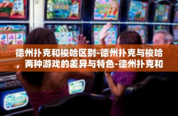 德州扑克和梭哈区别-德州扑克与梭哈，两种游戏的差异与特色-德州扑克和梭哈区别