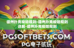 德州扑克梭哈规则-德州扑克梭哈规则详解-德州扑克梭哈规则