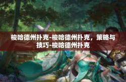 梭哈德州扑克-梭哈德州扑克，策略与技巧-梭哈德州扑克