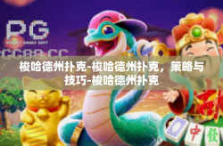 梭哈德州扑克-梭哈德州扑克，策略与技巧-梭哈德州扑克