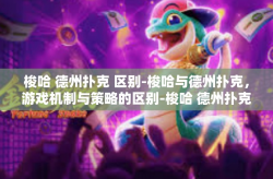 梭哈 德州扑克 区别-梭哈与德州扑克，游戏机制与策略的区别-梭哈 德州扑克 区别