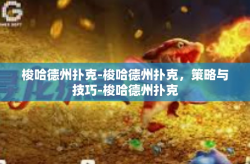 梭哈德州扑克-梭哈德州扑克，策略与技巧-梭哈德州扑克