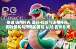 梭哈 德州扑克 区别-梭哈与德州扑克，游戏机制与策略的区别-梭哈 德州扑克 区别