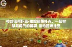 梭哈德州扑克-梭哈德州扑克，一场智慧与勇气的博弈-梭哈德州扑克