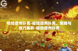 梭哈德州扑克-梭哈德州扑克，策略与技巧解析-梭哈德州扑克
