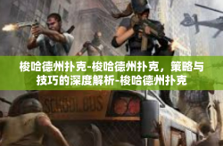 梭哈德州扑克-梭哈德州扑克，策略与技巧的深度解析-梭哈德州扑克