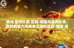 梭哈 德州扑克 区别-梭哈与德州扑克，游戏的魅力与两者之间的区别-梭哈 德州扑克 区别