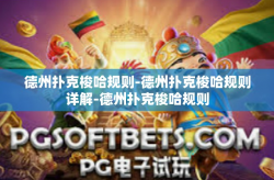 德州扑克梭哈规则-德州扑克梭哈规则详解-德州扑克梭哈规则