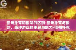 德州扑克和梭哈的区别-德州扑克与梭哈，两种游戏的差异与魅力-德州扑克和梭哈的区别