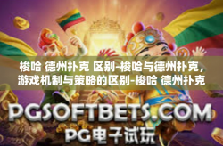 梭哈 德州扑克 区别-梭哈与德州扑克，游戏机制与策略的区别-梭哈 德州扑克 区别