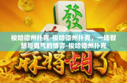 梭哈德州扑克-梭哈德州扑克，一场智慧与勇气的博弈-梭哈德州扑克