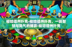 梭哈德州扑克-梭哈德州扑克，一场智慧与勇气的博弈-梭哈德州扑克
