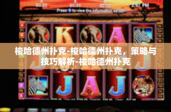 梭哈德州扑克-梭哈德州扑克，策略与技巧解析-梭哈德州扑克