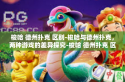 梭哈 德州扑克 区别-梭哈与德州扑克，两种游戏的差异探究-梭哈 德州扑克 区别