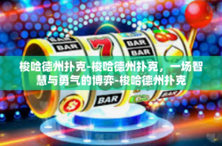 梭哈德州扑克-梭哈德州扑克，一场智慧与勇气的博弈-梭哈德州扑克