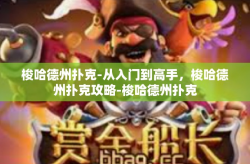 梭哈德州扑克-从入门到高手，梭哈德州扑克攻略-梭哈德州扑克