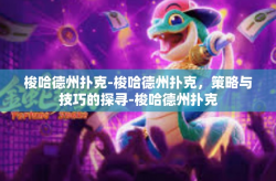 梭哈德州扑克-梭哈德州扑克，策略与技巧的探寻-梭哈德州扑克