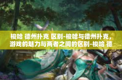 梭哈 德州扑克 区别-梭哈与德州扑克，游戏的魅力与两者之间的区别-梭哈 德州扑克 区别