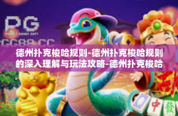 德州扑克梭哈规则-德州扑克梭哈规则的深入理解与玩法攻略-德州扑克梭哈规则