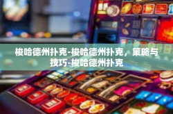 梭哈德州扑克-梭哈德州扑克，策略与技巧-梭哈德州扑克