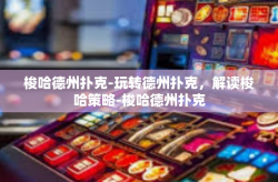梭哈德州扑克-玩转德州扑克，解读梭哈策略-梭哈德州扑克