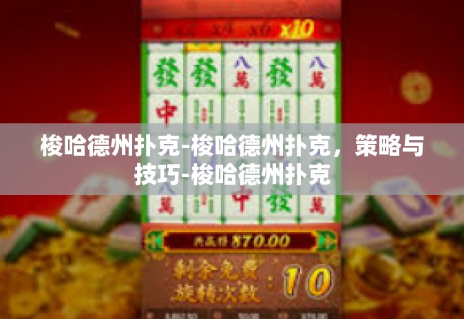 梭哈德州扑克-梭哈德州扑克，策略与技巧-梭哈德州扑克