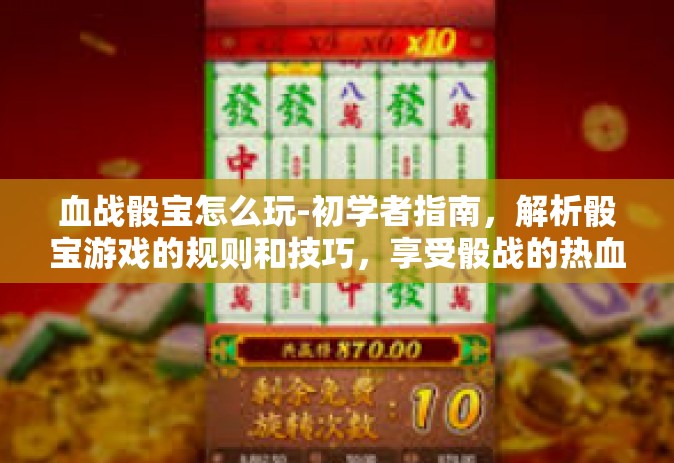 血战骰宝怎么玩-初学者指南，解析骰宝游戏的规则和技巧，享受骰战的热血之旅-血战骰宝怎么玩