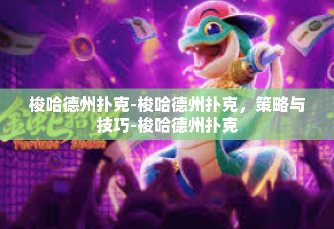 梭哈德州扑克-梭哈德州扑克，策略与技巧-梭哈德州扑克