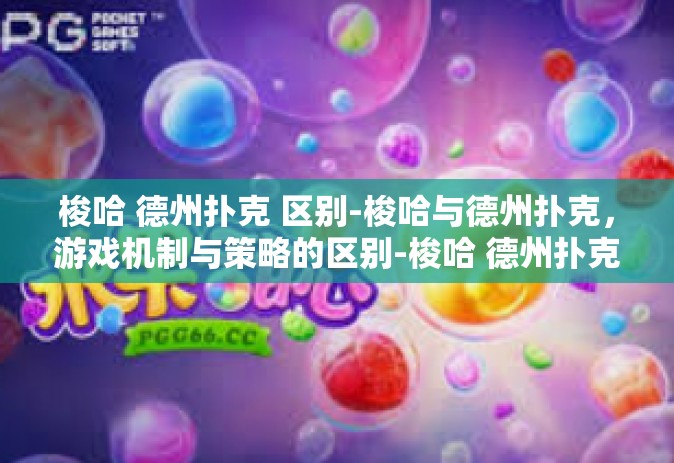 梭哈 德州扑克 区别-梭哈与德州扑克，游戏机制与策略的区别-梭哈 德州扑克 区别