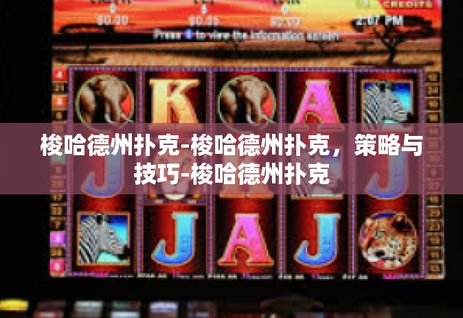 梭哈德州扑克-梭哈德州扑克，策略与技巧-梭哈德州扑克