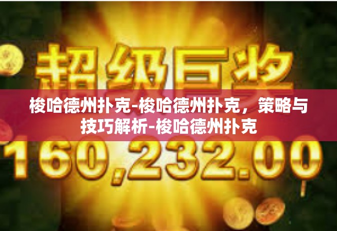 梭哈德州扑克-梭哈德州扑克，策略与技巧解析-梭哈德州扑克