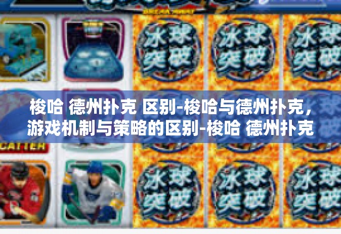 梭哈 德州扑克 区别-梭哈与德州扑克，游戏机制与策略的区别-梭哈 德州扑克 区别